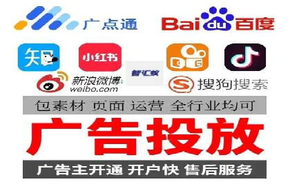 某公司网站sem托管项目纪实